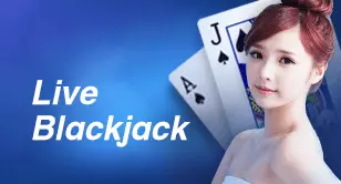 live blackjack