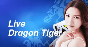 live dragon tiger