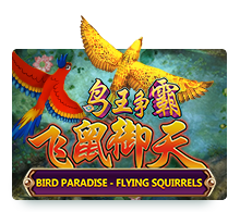 bird paradise